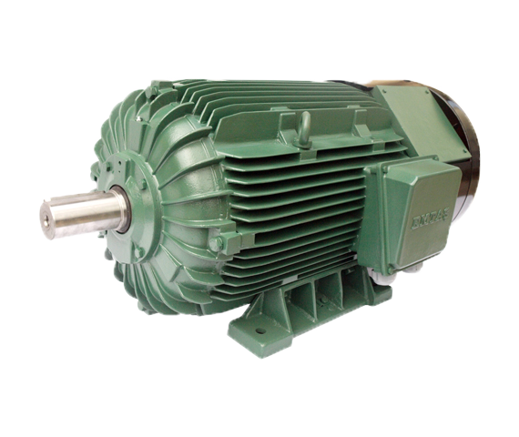 Squirrel Cage Induction Motor