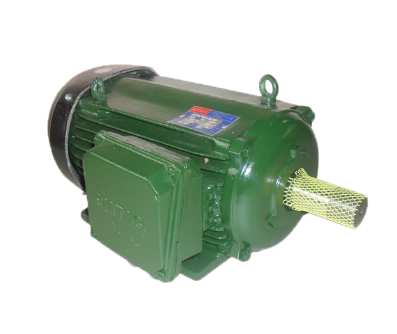 Circular Saw Motor