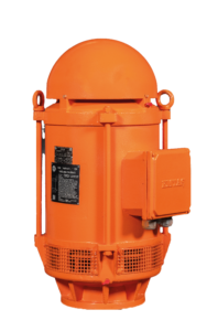 Deep Well Pump Motor