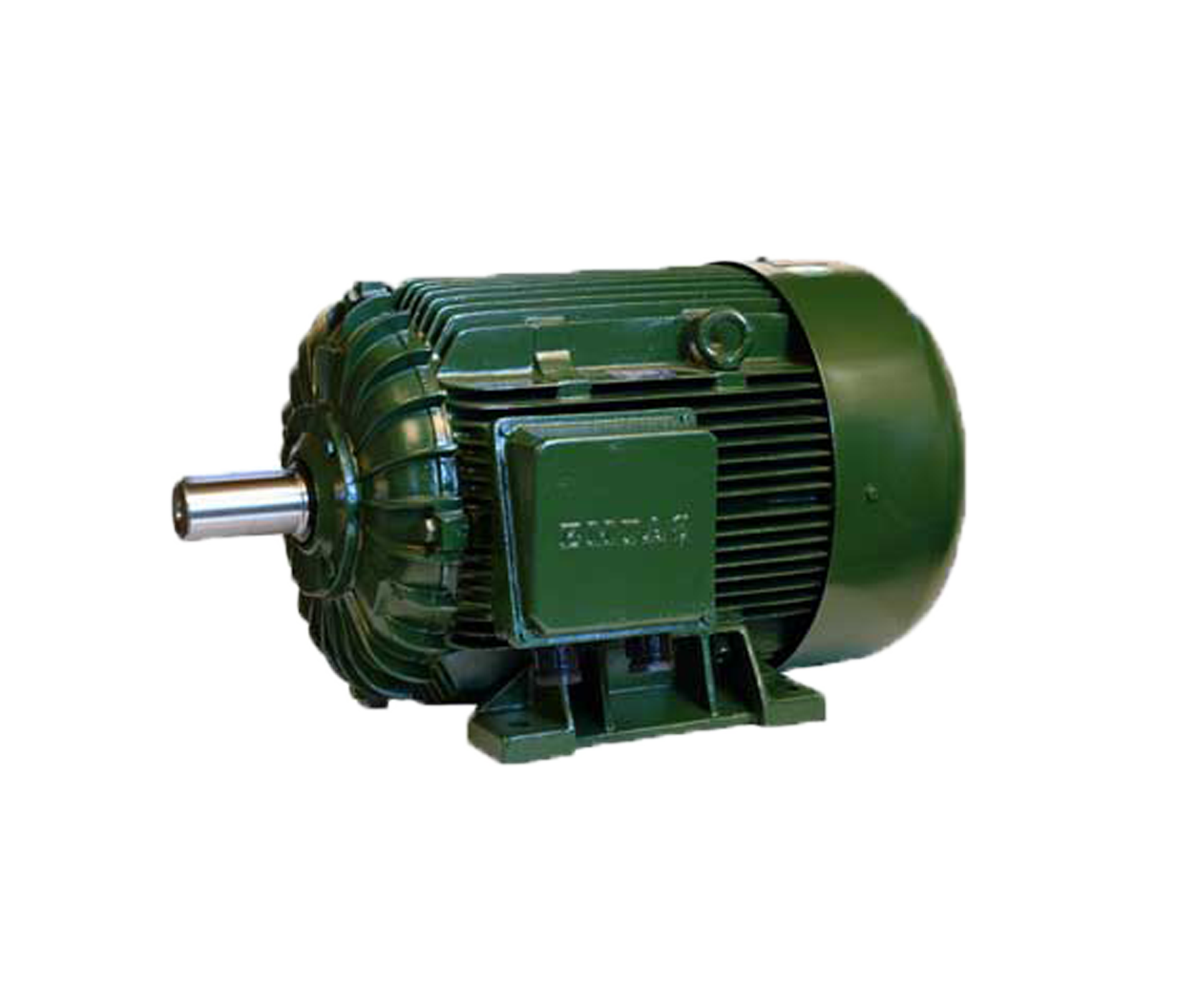 Dual Speed Motor