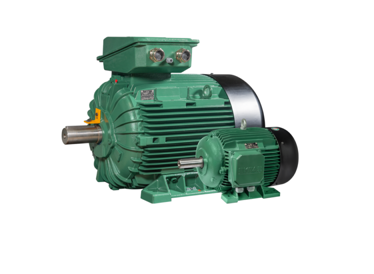 General Purpose Industrial Type Motor