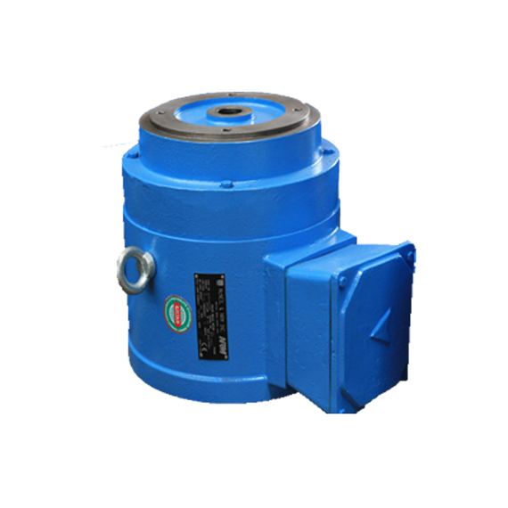 Torque Motor