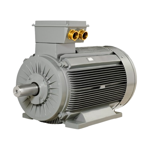 Medium Voltage Motors