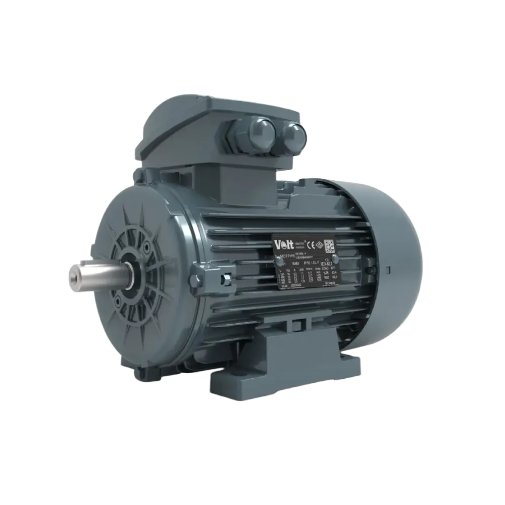 ELEKTRİK MOTORLARI